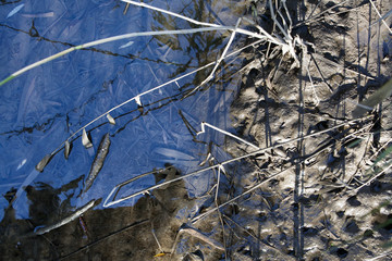 Tidal area background