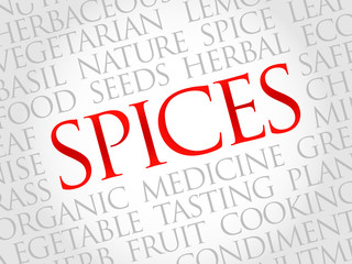 Spices word cloud, health concept