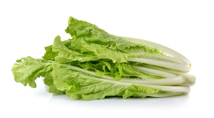 lettuce leaves isolated on white background