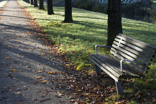Public bench