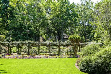 Rose Arbor Over Green Grass