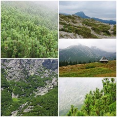 Tatra Mountains in the fog, Poland - photo collage