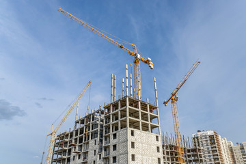 High-rise building and hoisting tower cranes