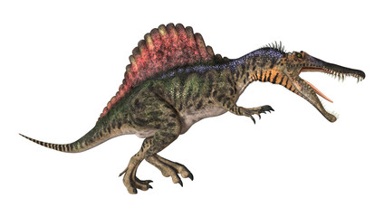 Dinosaur Spinosaurus