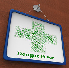 Dengue Fever Shows Burning Up And Afflictions