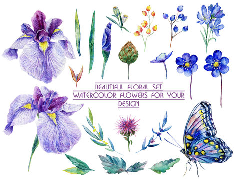 Set of different blue, lilac flowers for design. Watercolor irises, cornflower, wildflowers, leaves, berry, butterfly. Set of floral elements to create compositions. 