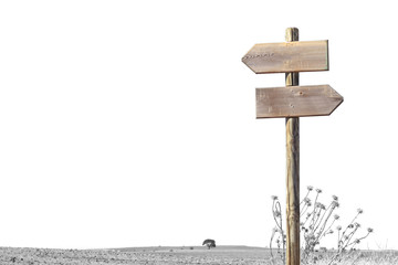 Wood signpost indicating the left and right directions, over black and white background
