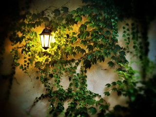 Lamp in night