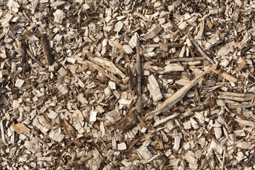 Wood chip