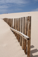 Dunas de arena en las playas de Bolonia en la costa de Tarifa, Cádiz