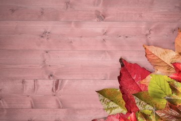 Naklejka na ściany i meble Composite image of autumn leaves pattern
