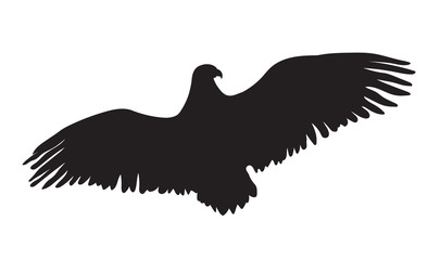 eagle silhouette