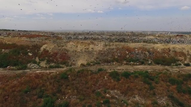 Birds Flying Over Big City Waste Dump In Ukraine