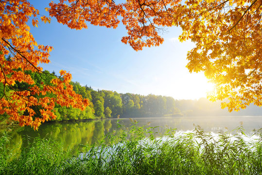 Autumn landscape with the sun rising over the pond