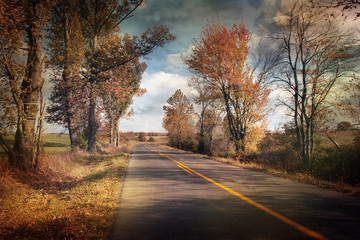 Fototapeta premium Country Drive Through Fall Colors