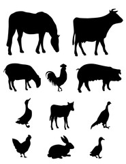 ANIMALERIE