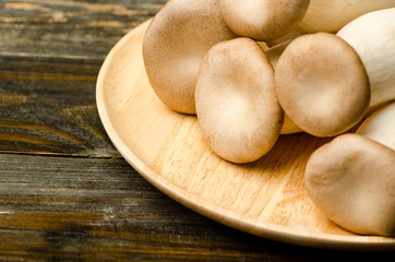 Mushroom