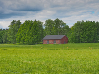 Obraz premium Old barn on a green field in Finland