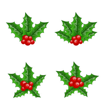 Christmas set holly berry branches isolated on white background