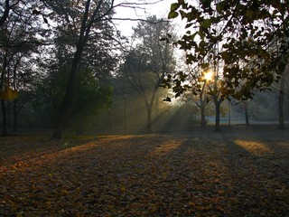 Jesienny wschód słońca  © mrdark777