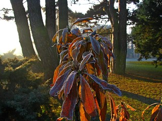 Jesień © mrdark777