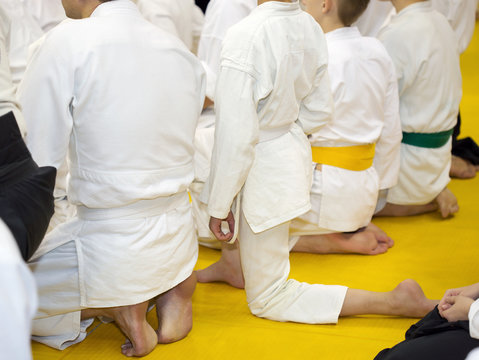 People in kimono and hakama sitting on tatami on martial arts training seminar