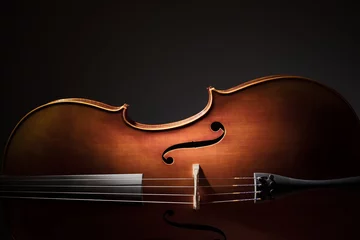 Fotobehang Cello silhouette © Brian Jackson