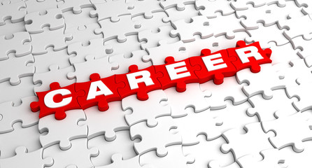 Career Jigsaw Puzzle