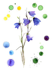 Watercolor bluebell flower with graphic stains of color