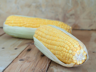 The fruit is a pod corn