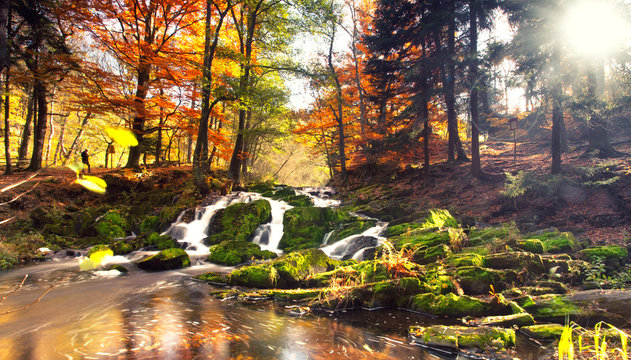 Fototapeta Herbst im Harz