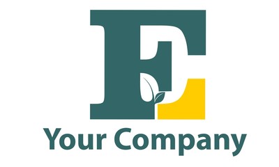 Your Company