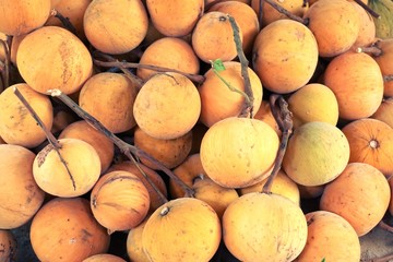 santol fruits