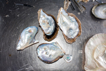 pearl factory on the sea