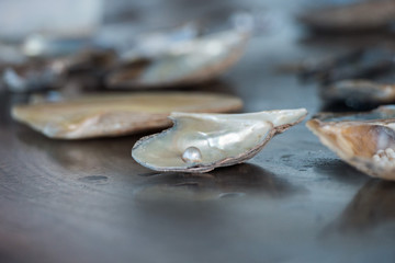 pearl factory on the sea