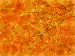 Autumn background with fallen leaves and branches.