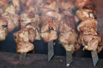 meat skewers on the barbecue coals