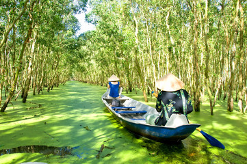 Tourism rowing boat in Tra Su flooded indigo plant forest in An Giang, Mekong delta, Vietnam.  - obrazy, fototapety, plakaty