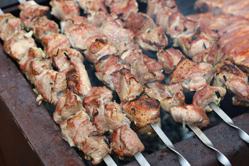 meat skewers on the barbecue coals