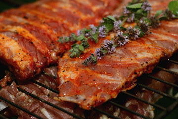 meat skewers on the barbecue coals
