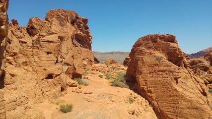 Fototapeta premium Valley of Fire State Park Nevada