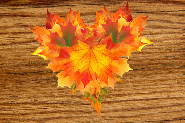 Naklejka na ściany i meble beautiful heart from colorful autumn maple leaves on wooden text