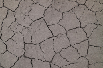 Cracked ground