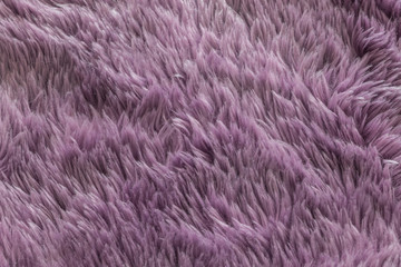 Closeup purple carpet texture background