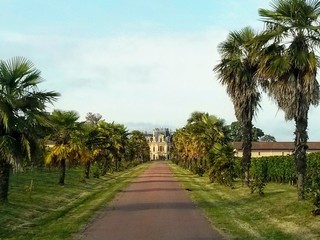 Château du Medoc