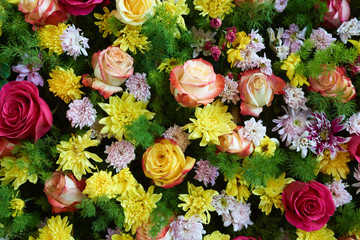 Roses and chrysanthemums