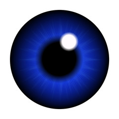 The pupil of the eye, eye ball. Realistic vector illustration isolated on white background.