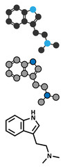 Dimethyltryptamine (DMT) psychedelic drug molecule. 