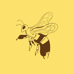bee