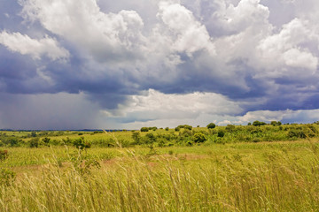 Obraz premium Rural landscape in Zambia